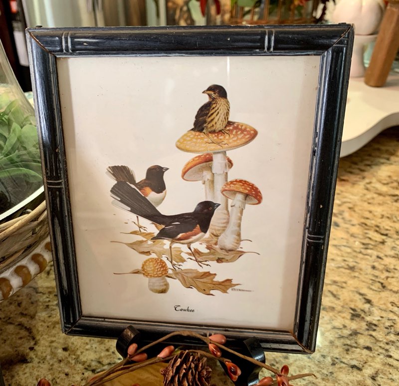 Vintage Art of Birds in Nature - ON SALE NOW!
